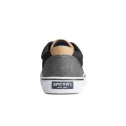 Sperry - Men's Striper II Shoes (STS23347) -Sperry Sales Store Sperry Men s Striper II Shoes STS23347 3